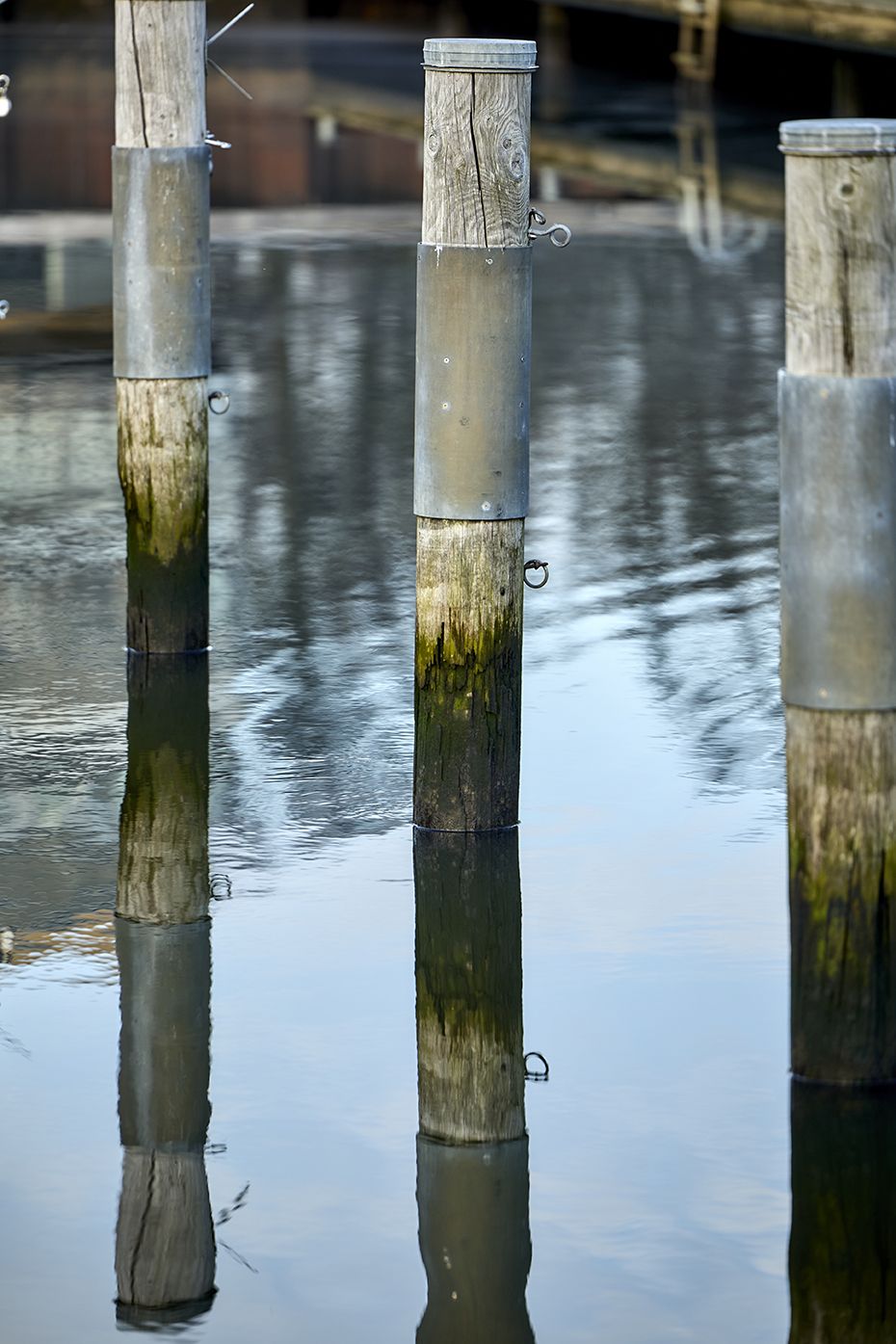 extra  086A0853 lille